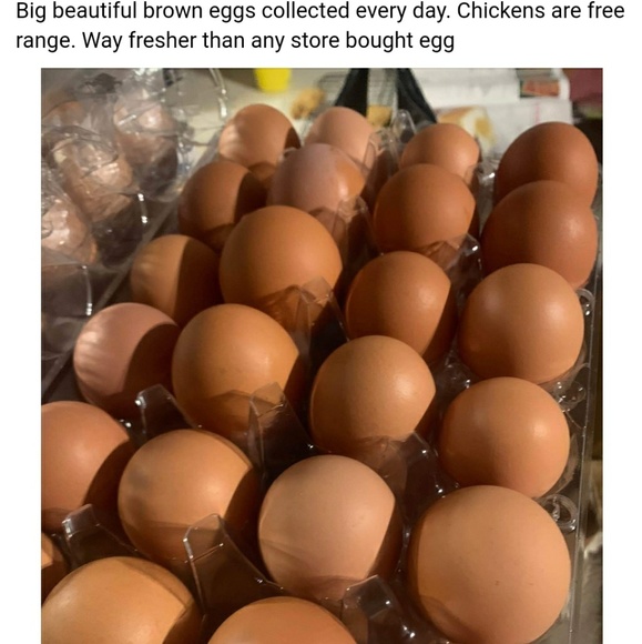 Meet your Posher, Nancy - Picture 1 of 1